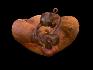 Roasted Chicken Modello 3D
