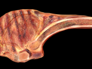 Tomahawk Modelo 3D