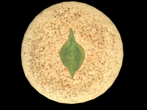 Idli 3D Model