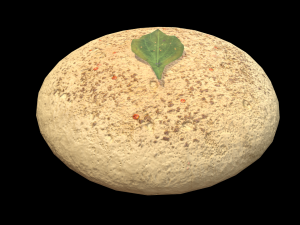 Idli 3D Model