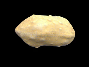 Luchi 3D Model