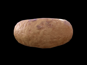 Medhu Vada Modelo 3D