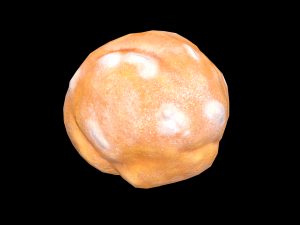 CreamPuff Model 3D