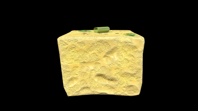 Dhokla 3D 모델 .c4d .max .obj .3ds .fbx .stl .blend 