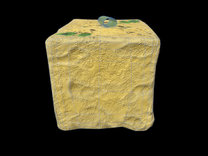 Dhokla 3D 모델