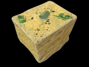 Dhokla 3D 모델