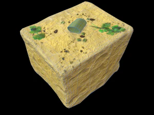 Dhokla Modelo 3D