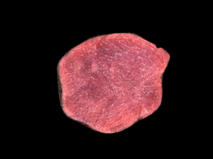 BeefLoin Medalion 3D 모델