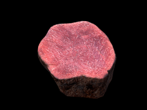 BeefLoin Medalion 3D 모델