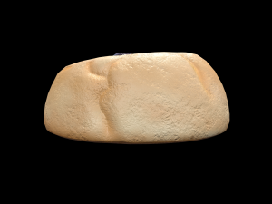 CranberryThumbprintCookie 3D Модель