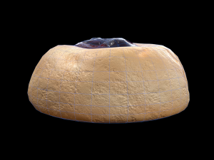 CranberryThumbprintCookie 3D Модель