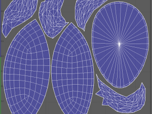 Egg Cumin 3D 模型