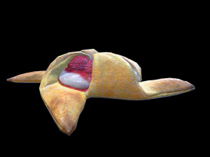 Raspberry Pastry 3D Model