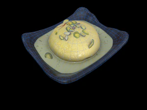 Ras Malai 3D Model