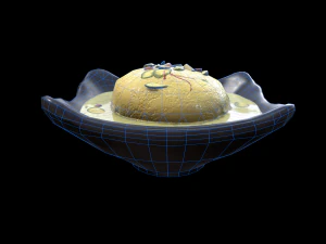 Ras Malai 3D Model