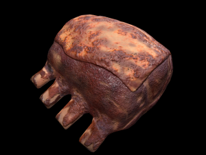 Beef RibsGrilled 3D Model