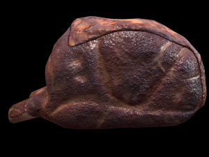 Beef RibsGrilled 3D Model