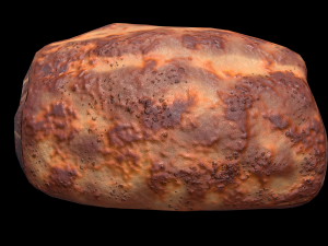 Beef RibsGrilled 3D Model