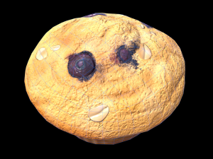 Blueberry Muffin 3D Model