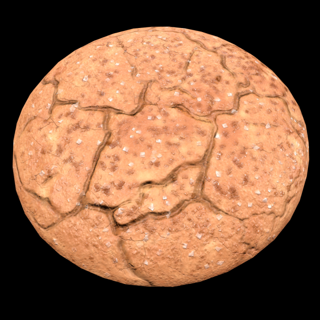 Cookie Molasses 3D Model .c4d .max .obj .3ds .fbx .stl .blend