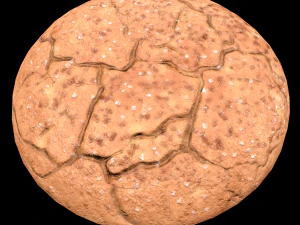 Cookie Molasses 3D Model