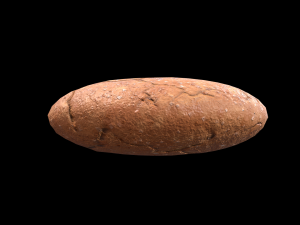 Cookie Molasses 3D Model