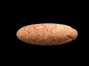 Cookie Molasses 3D Model