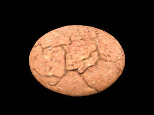 Cookie Molasses 3D Model