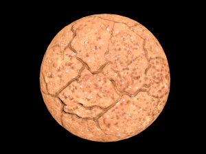 Cookie Molasses 3D Model