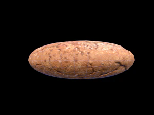 Cookie Molasses 3D Model