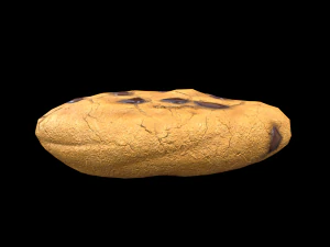 ChocolateChip Cookie 3D Model