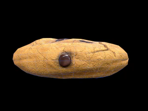 ChocolateChip Cookie 3D Model