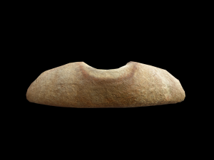 Danish Cheese Pastry 3D Модель