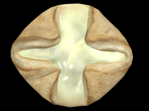 Danish Cheese Pastry 3D Модель