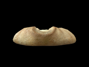 Danish Cheese Pastry 3D Модель