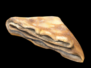 French Pancake Modelo 3D