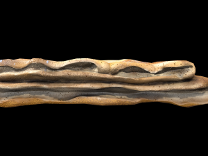 French Pancake 3D Модель