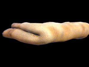 French Pancake 3D Модель