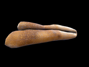 French Pancake 3D Модель