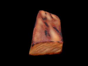 MisoBlackCod 3D Model