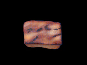 MisoBlackCod 3D Model