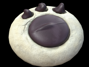 Paw Cookie 3D 모델