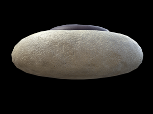 Paw Cookie 3D Model