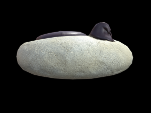 Paw Cookie 3D Model
