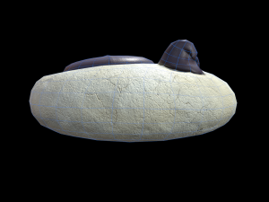 Paw Cookie 3D Model