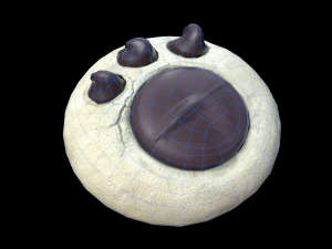 Paw Cookie 3D Model