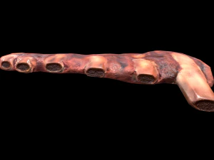 PorkRibs Grilled 3D Model