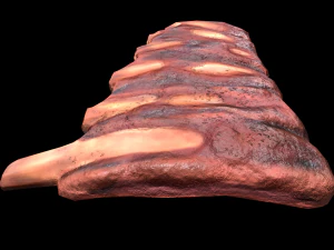 PorkRibs Grilled 3D Model