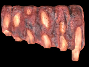 PorkRibs Grilled 3D Model