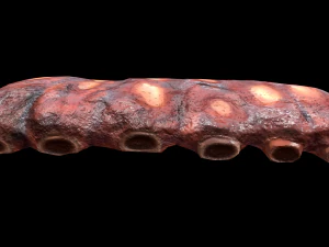 PorkRibs Grilled 3D Model